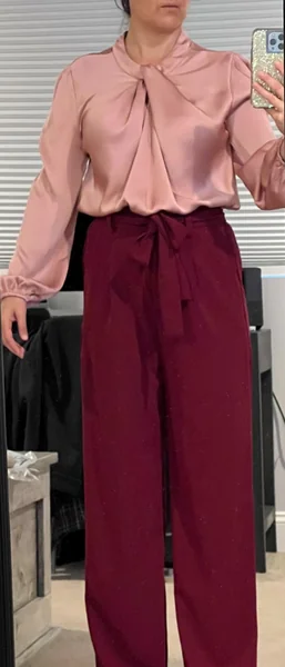 Satin Blouse for Women – Perfect Conference Outfit Top