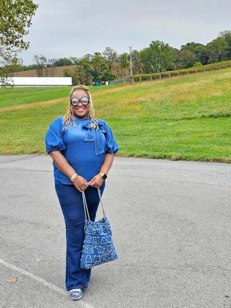 Bow-Detail Denim Pullover Top