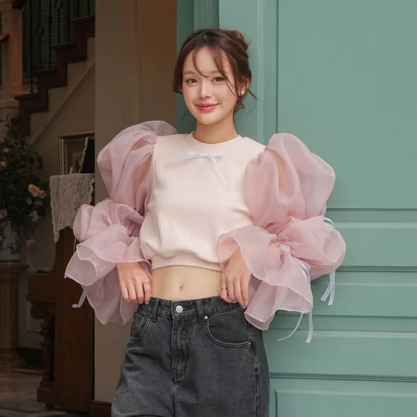 Blush Organza-Sleeve Crop Top