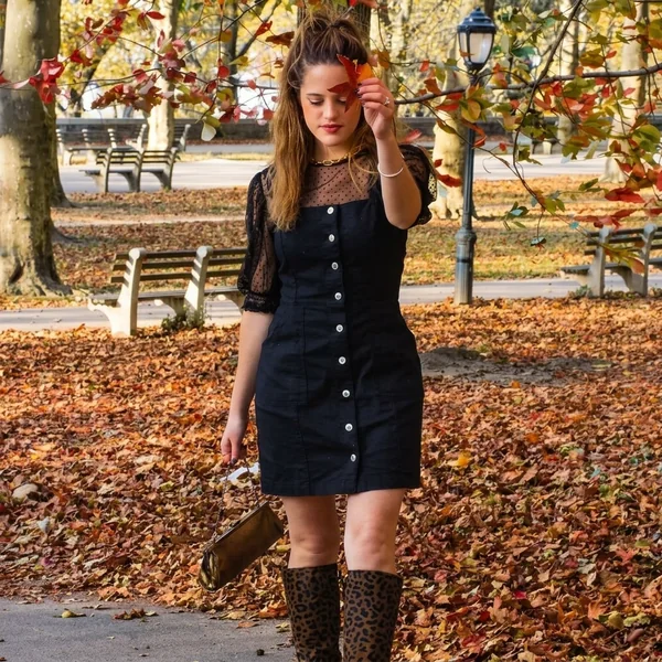 Sheer-Sleeve Mini Dress & Leopard Boots