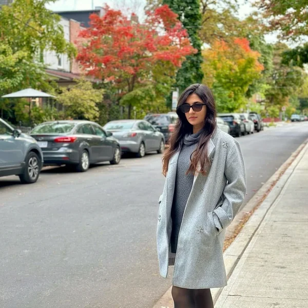 Embellished Grey Coat with Turtleneck Sweater Dress